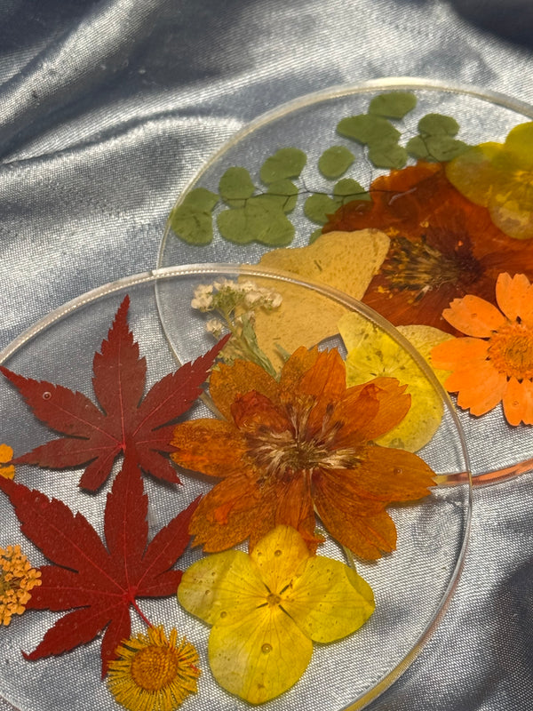 Fall Coaster