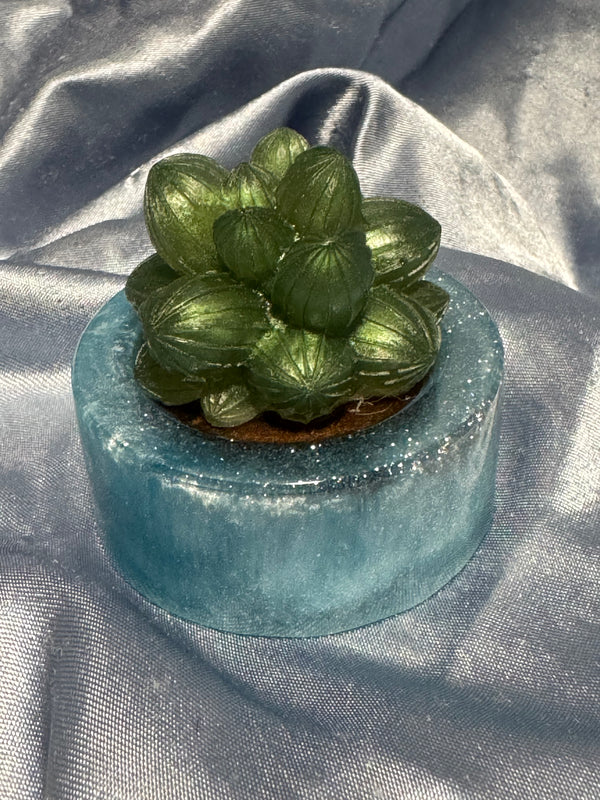 Simple Succulent