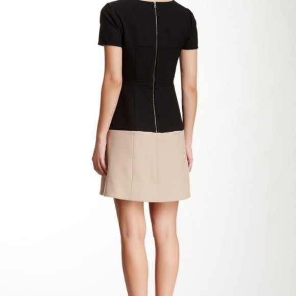 BCBG "Hannah" Colorblock Dress