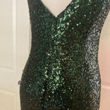 NWT Theia Floor-Length Sequin Gown in Hunter Green