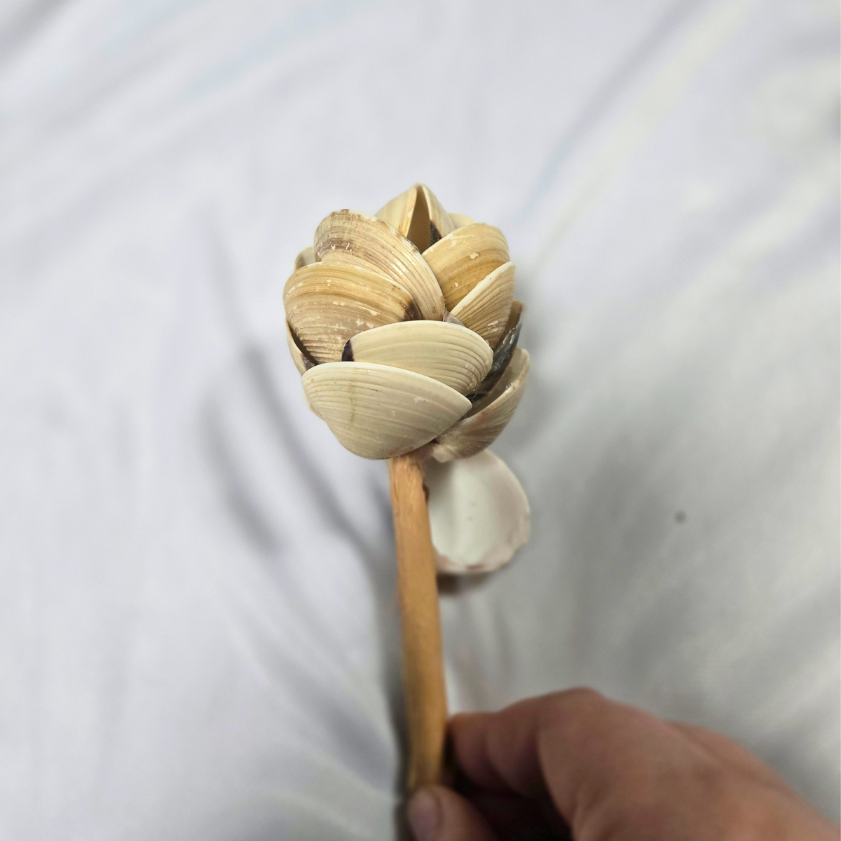 Shell Flower - Biggie