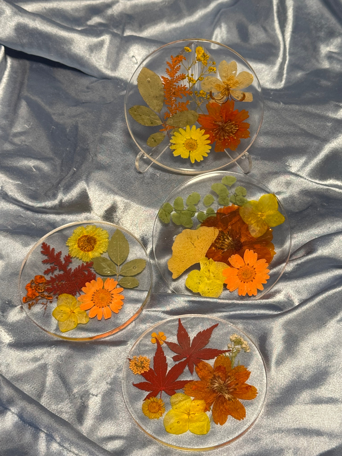 Fall Coaster