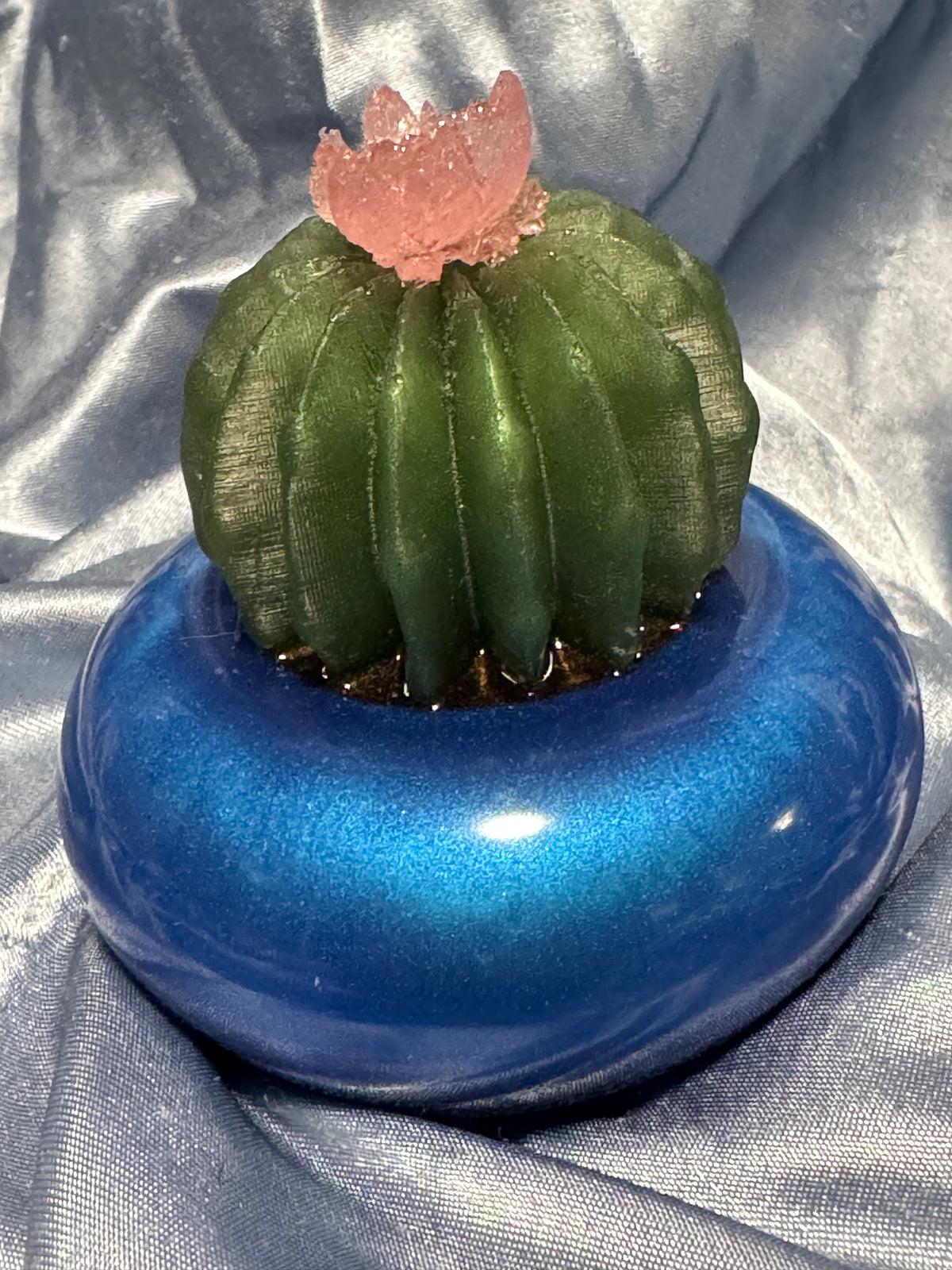 Simple Succulent