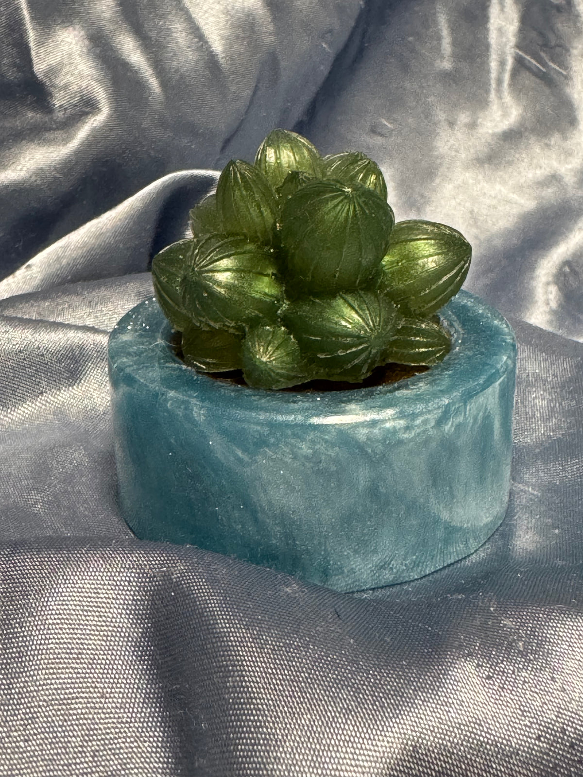 Simple Succulent