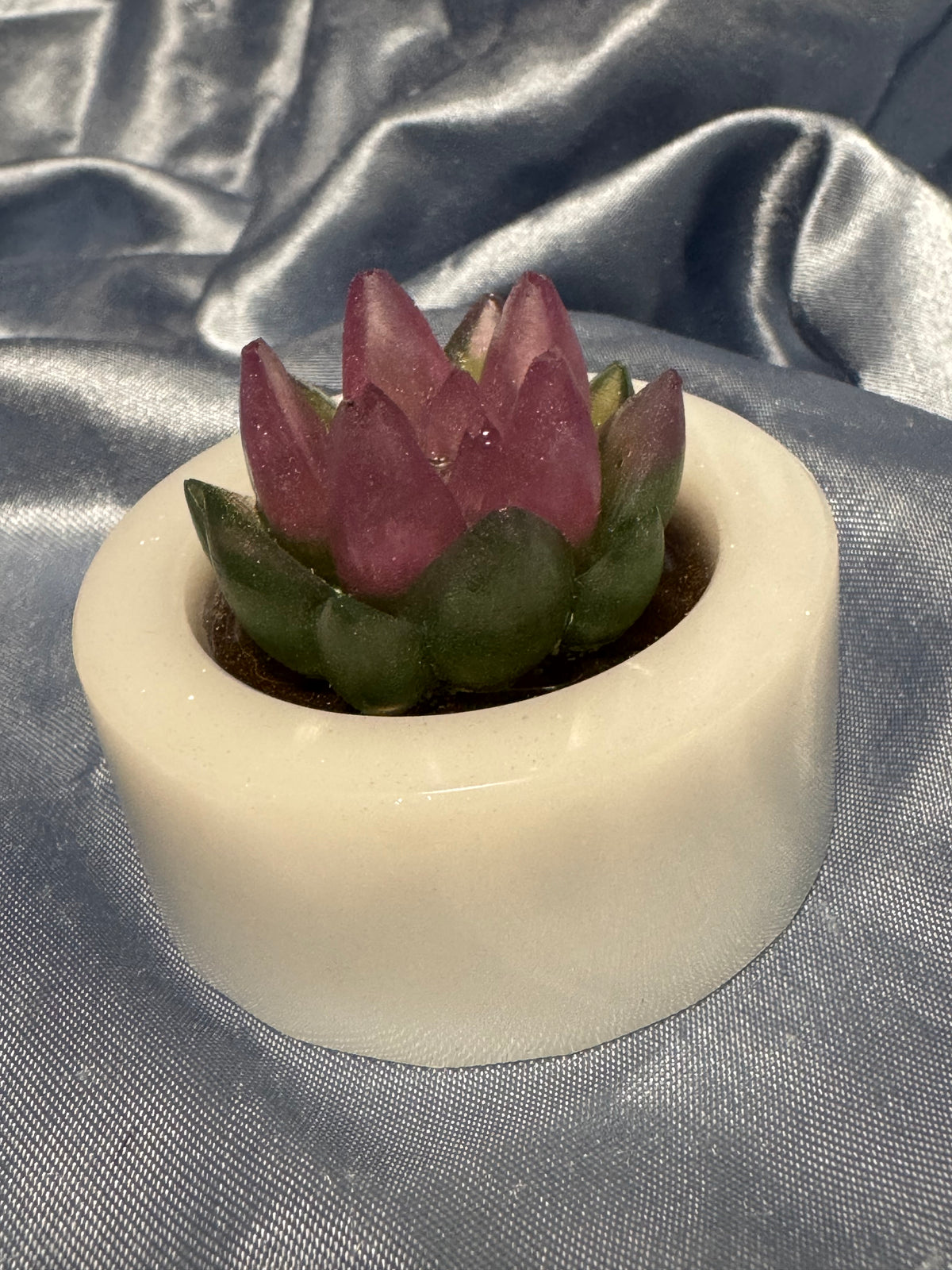 Simple Succulent