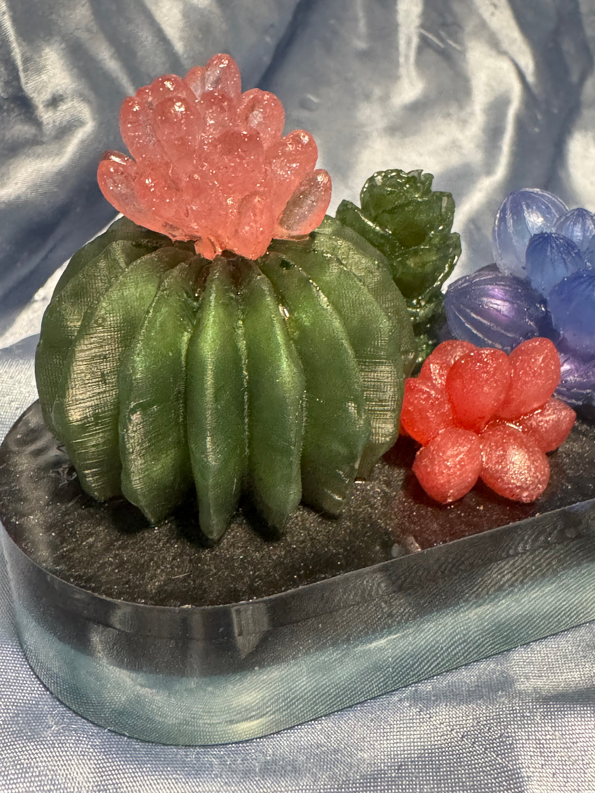 Large Succulent