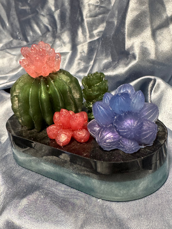 Large Succulent