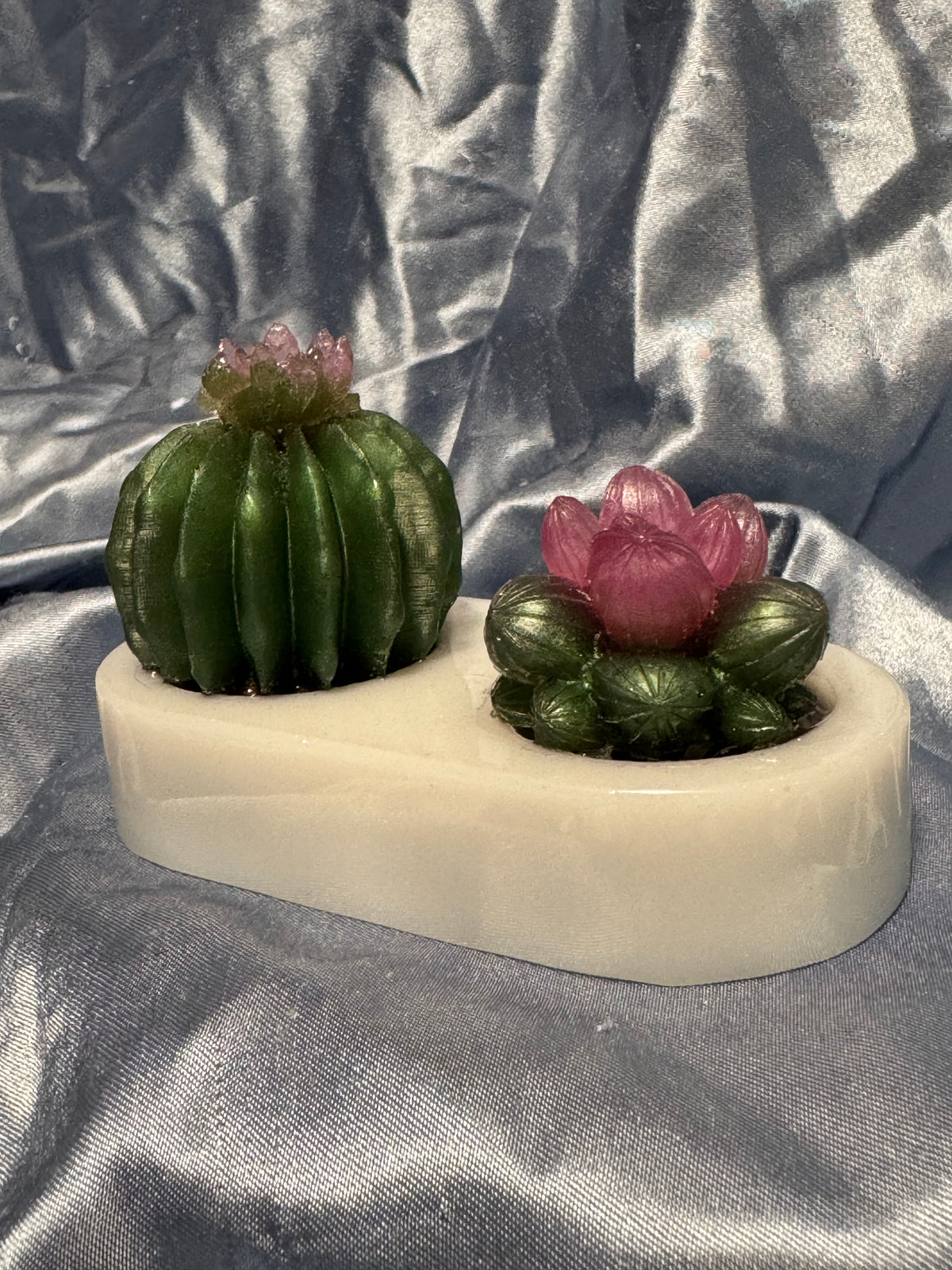 Dual Succulent