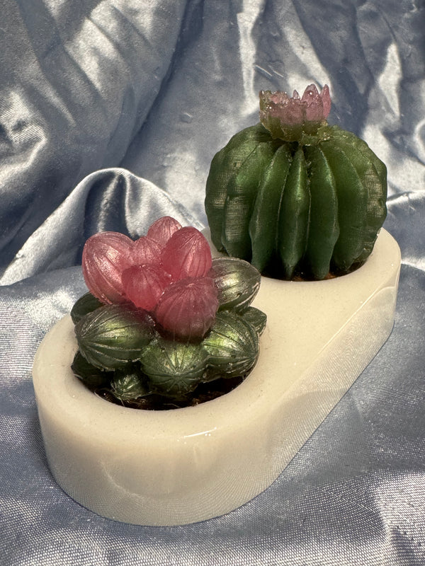 Dual Succulent