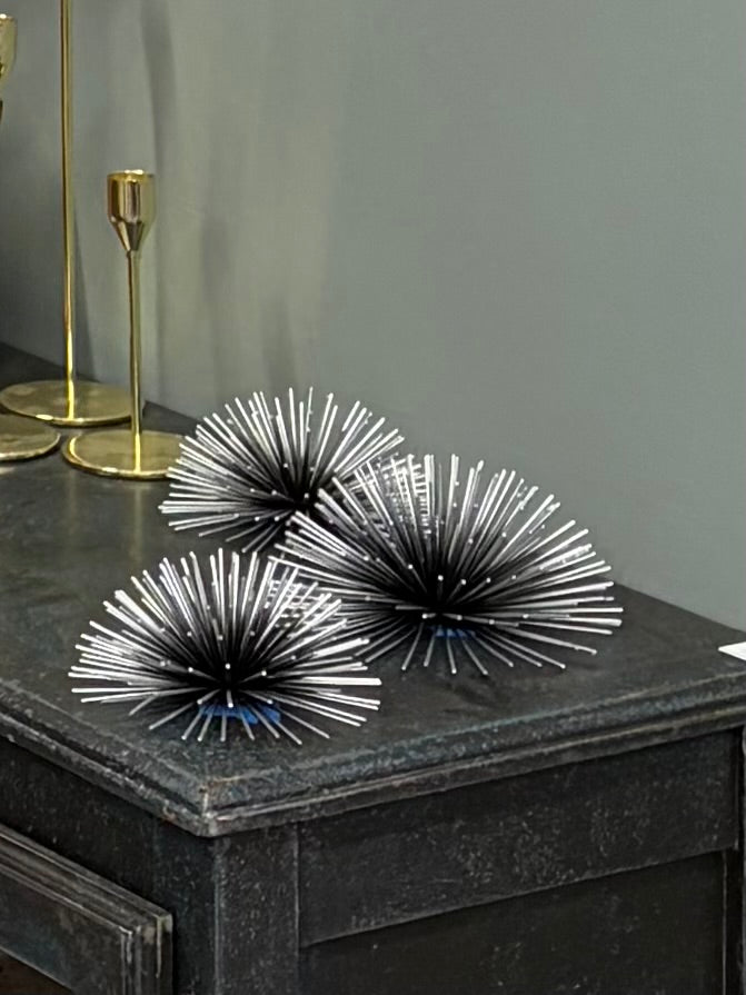 Sea Urchin Set