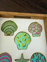 Shells - Tray
