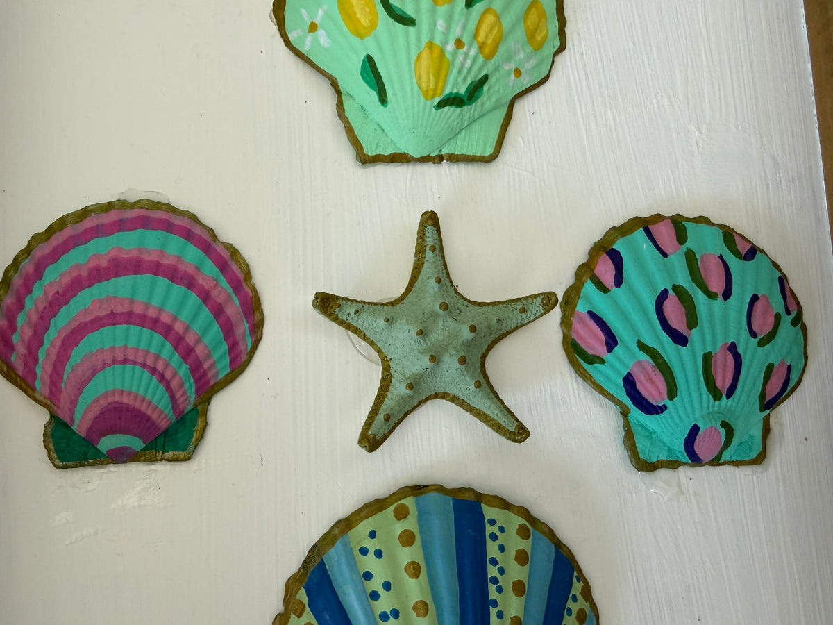 Shells - Tray