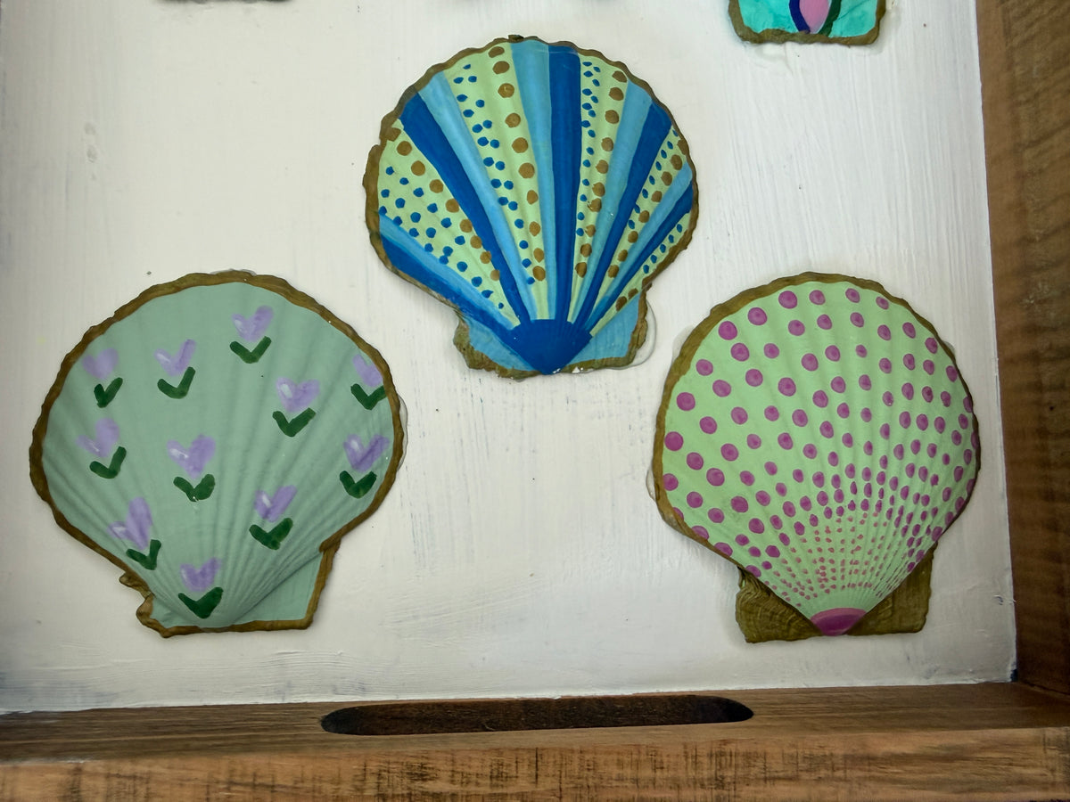 Shells - Tray