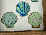Shells - Tray
