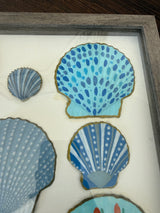 Painted Shells in Frame