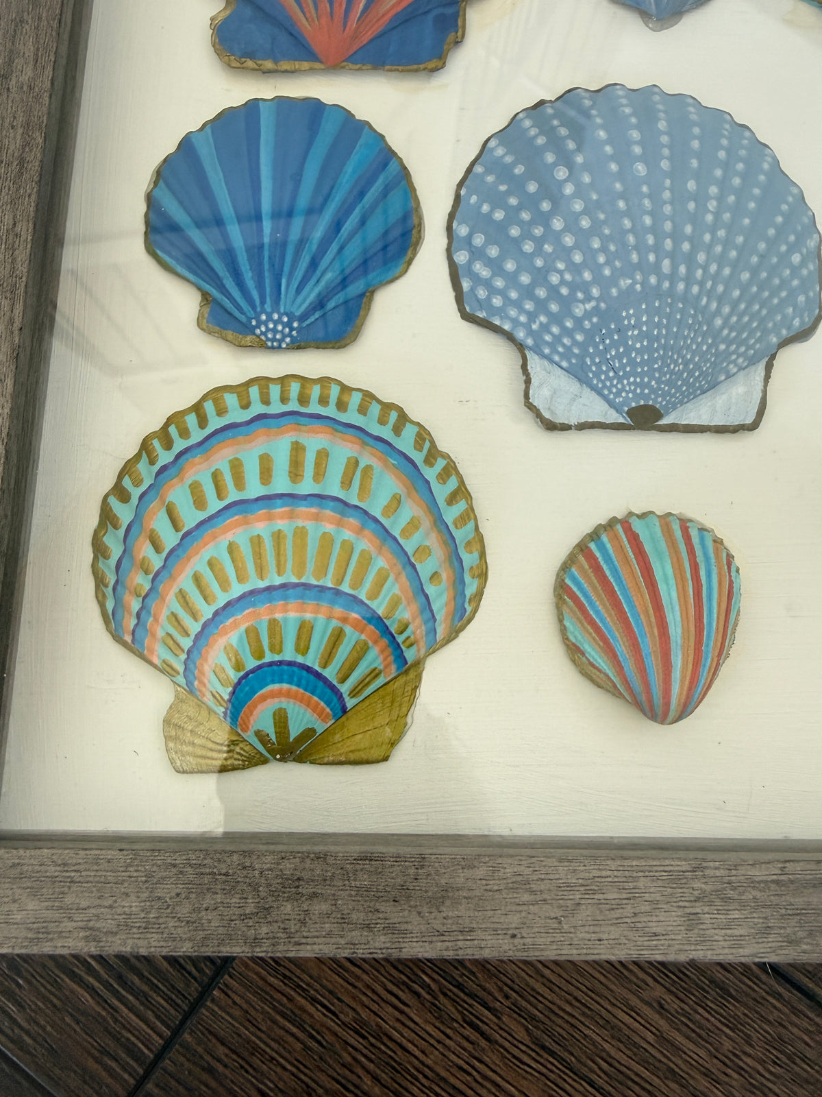 Painted Shells in Frame