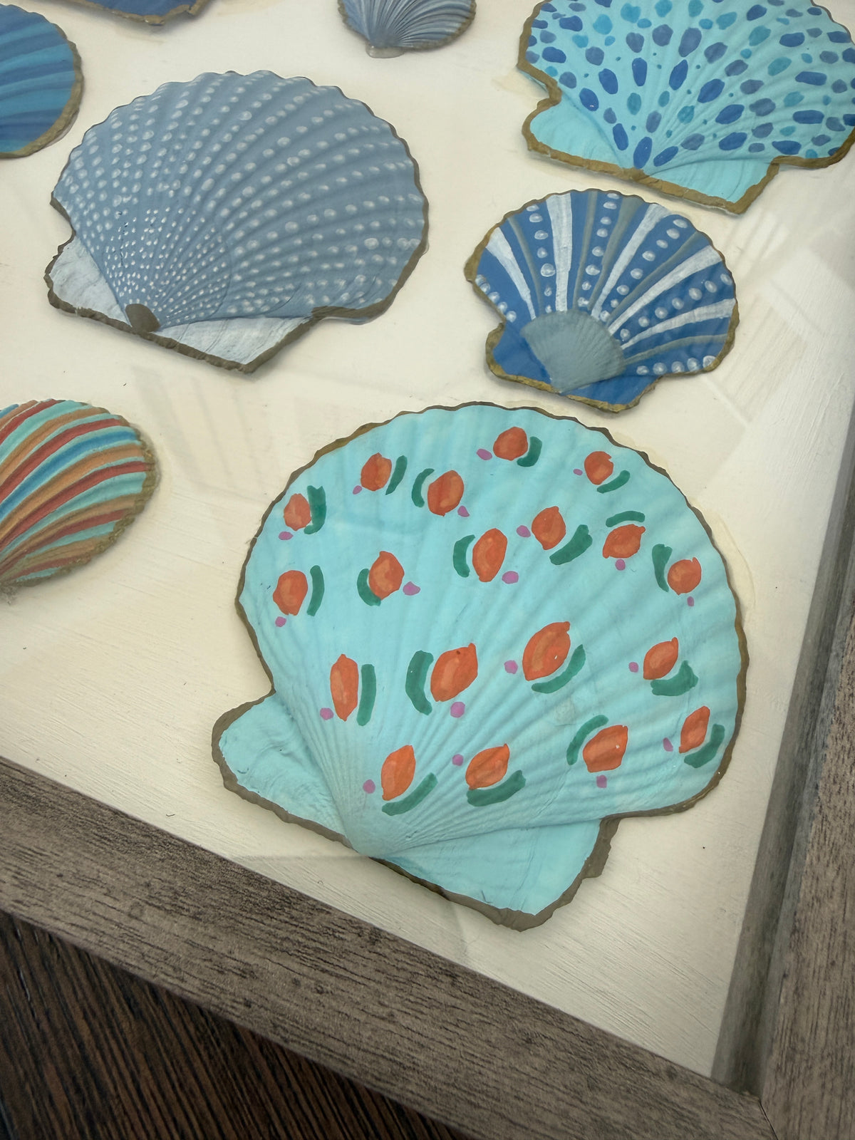 Painted Shells in Frame