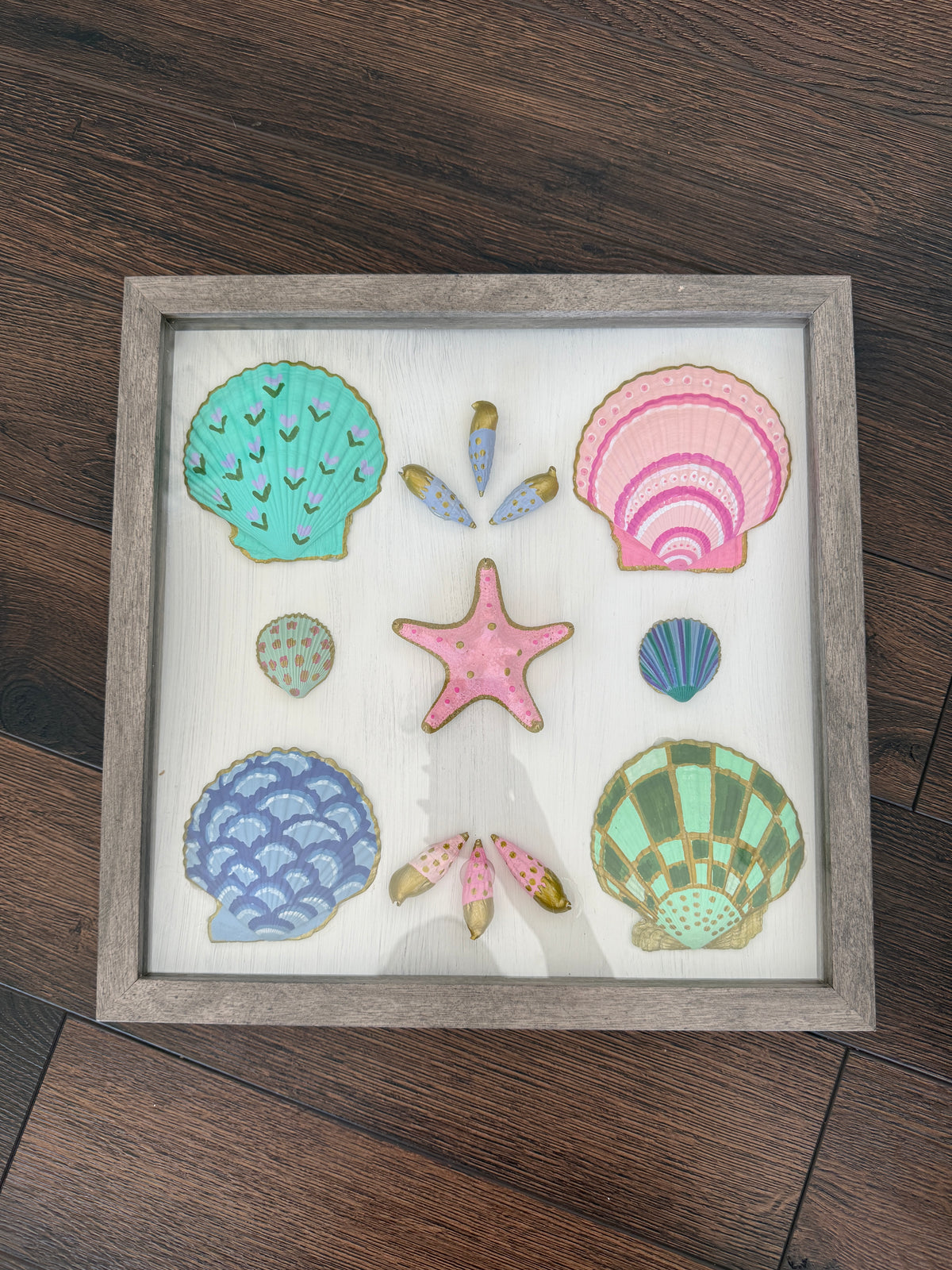 Painted Shells in Frame