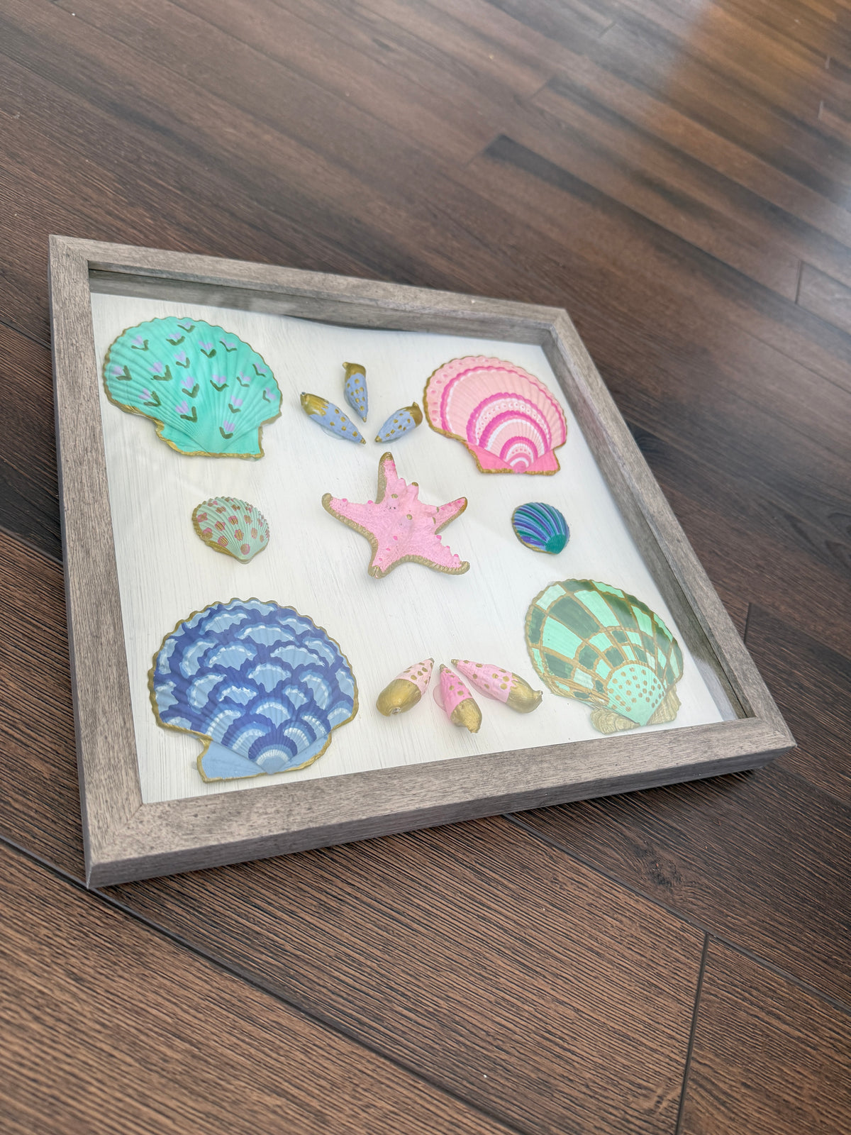 Painted Shells in Frame