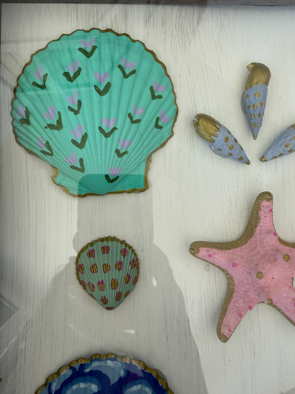 Painted Shells in Frame