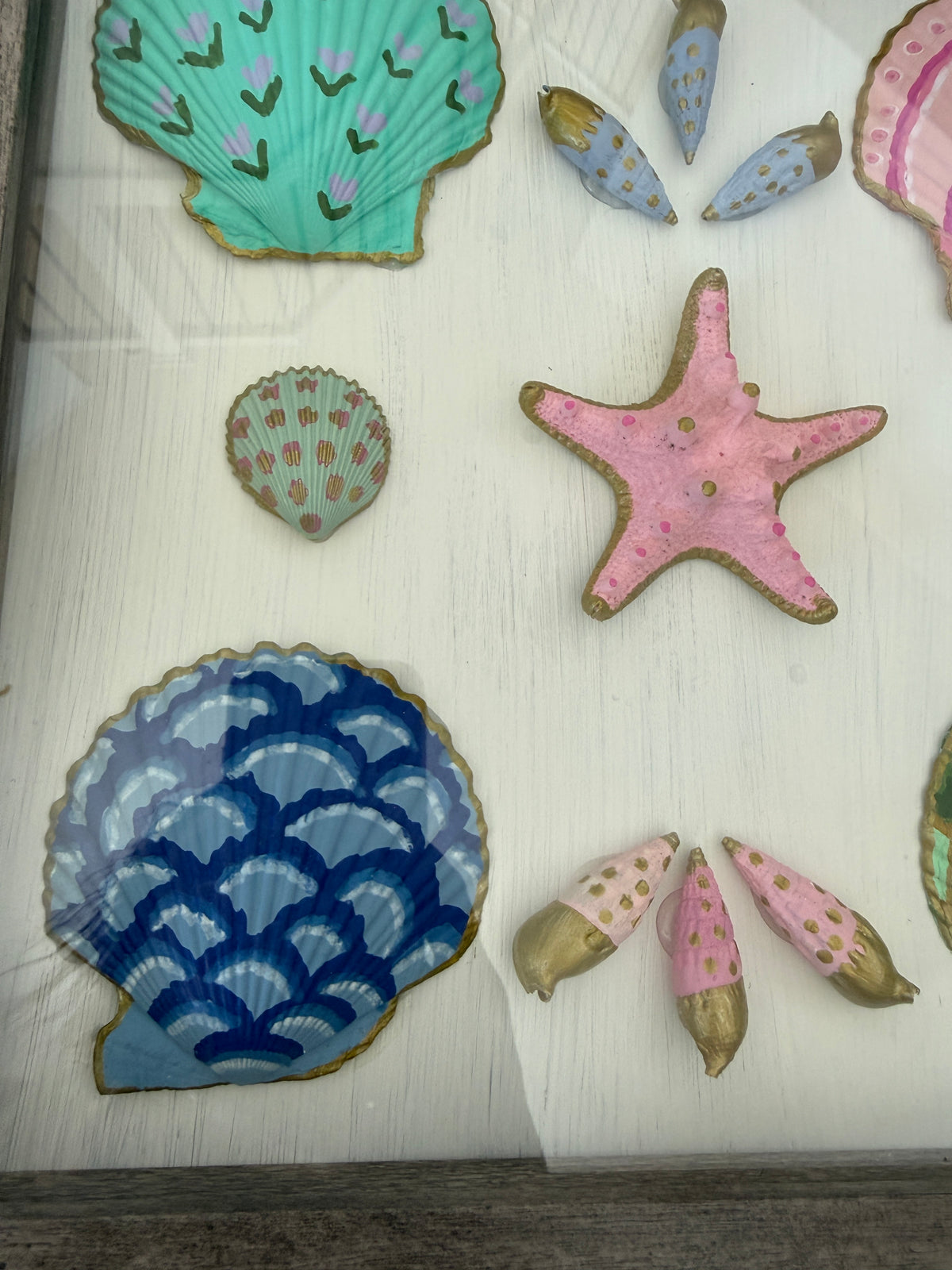 Painted Shells in Frame