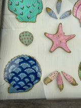Painted Shells in Frame