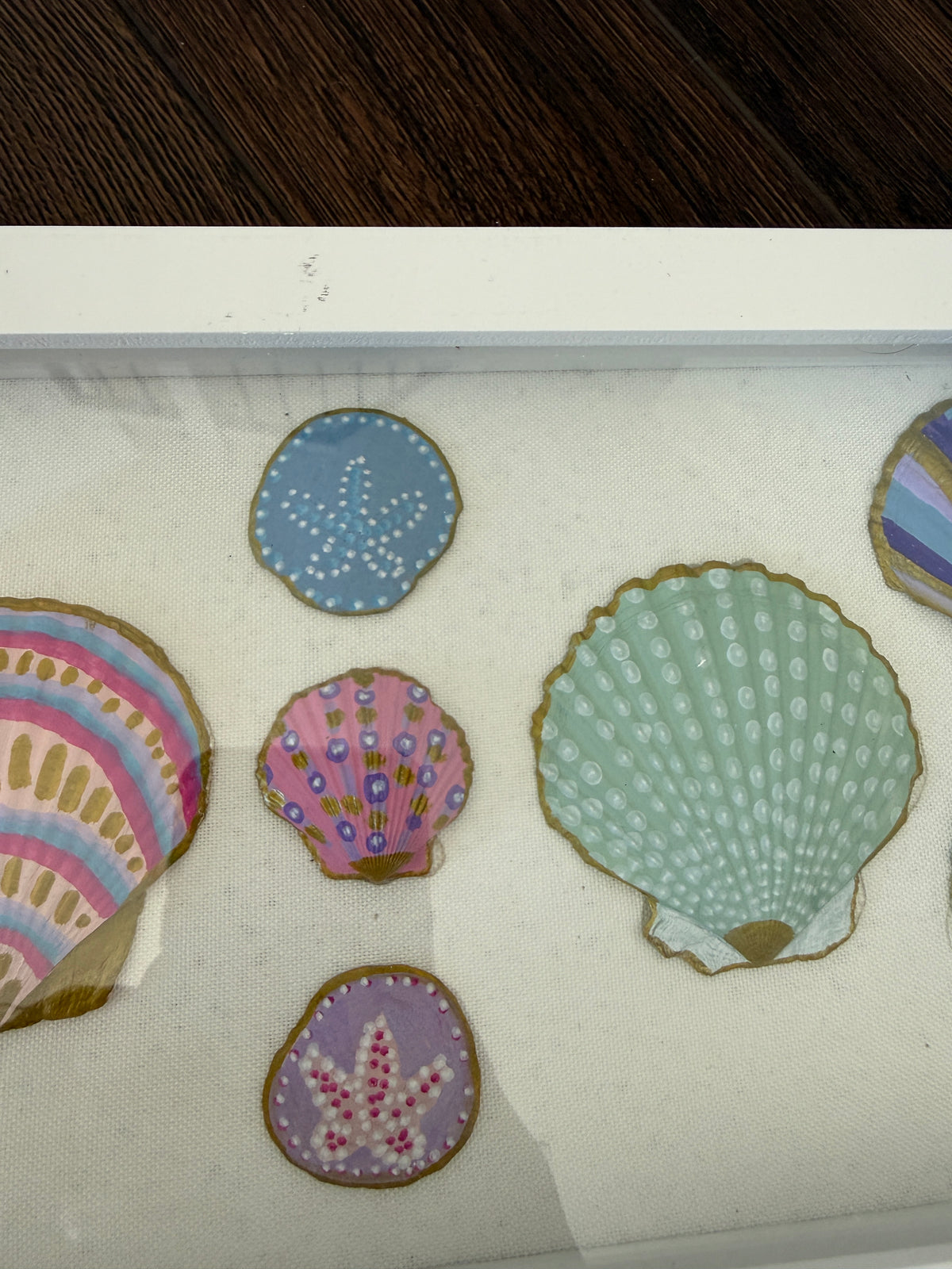 Shells in Frame - White Rectangle