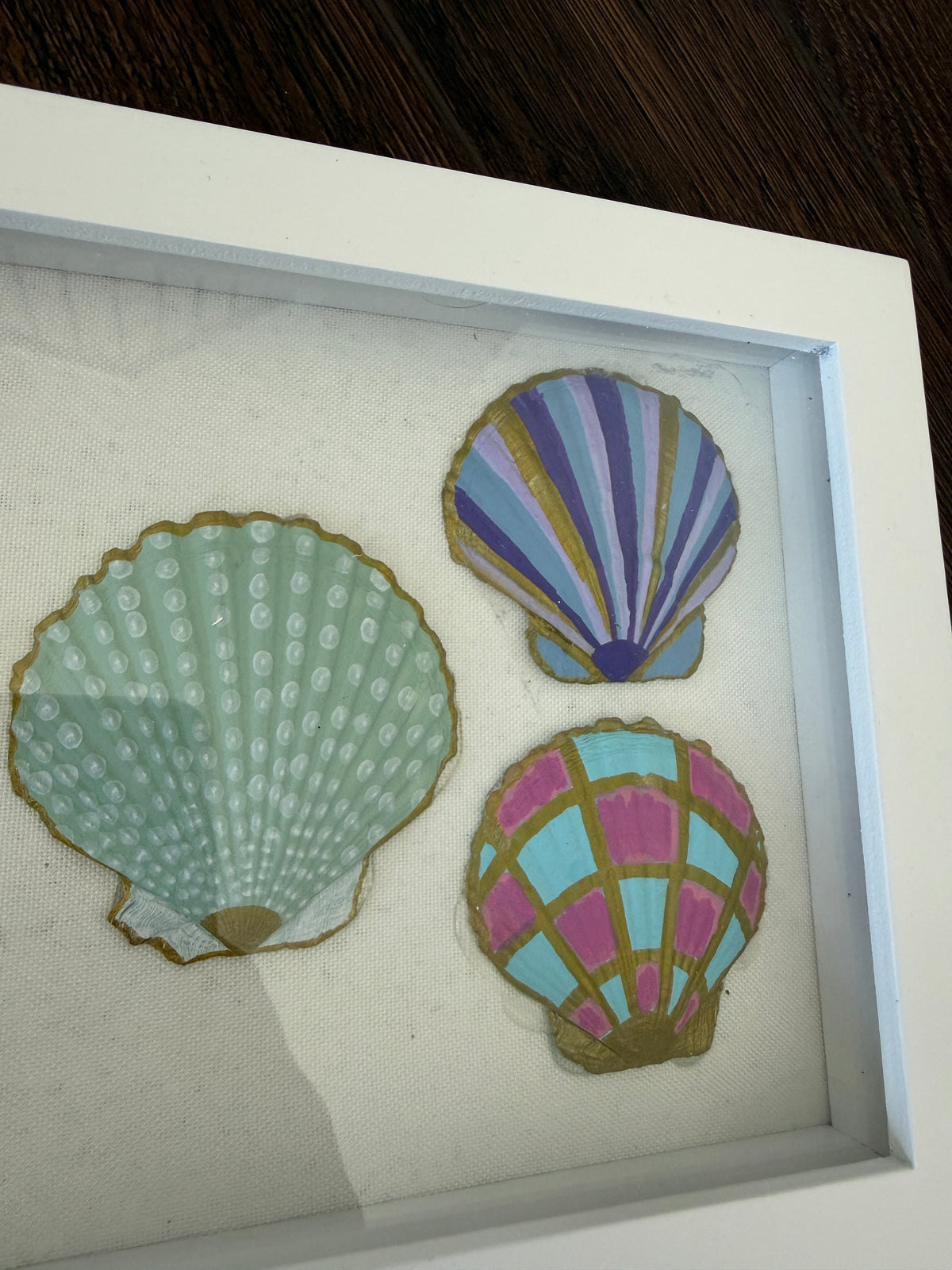 Shells in Frame - White Rectangle