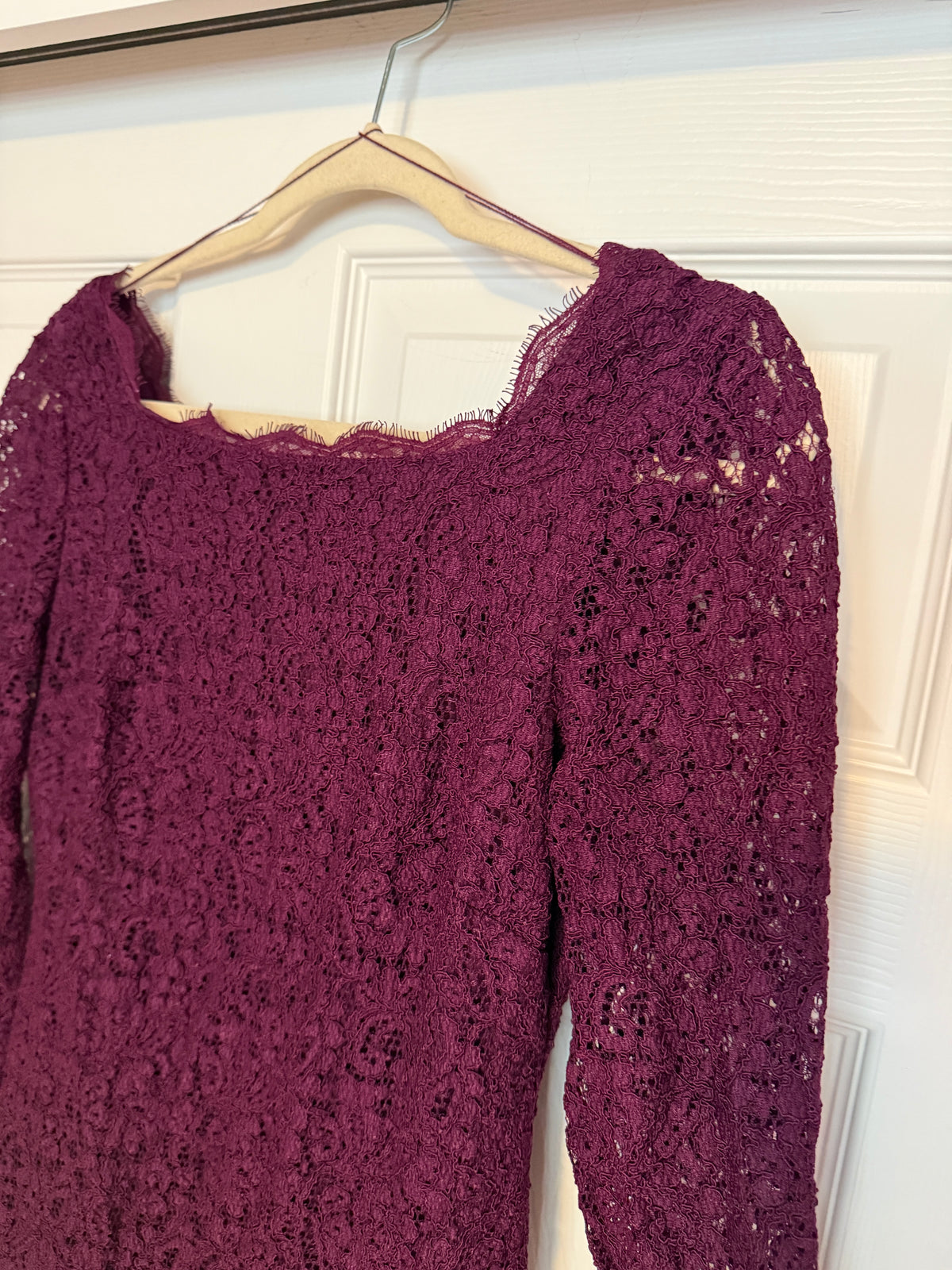 Adrianna Papell Burgundy/Purple Lace Mini Dress