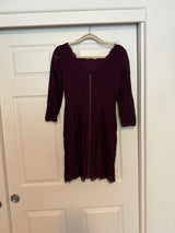 Adrianna Papell Burgundy/Purple Lace Mini Dress