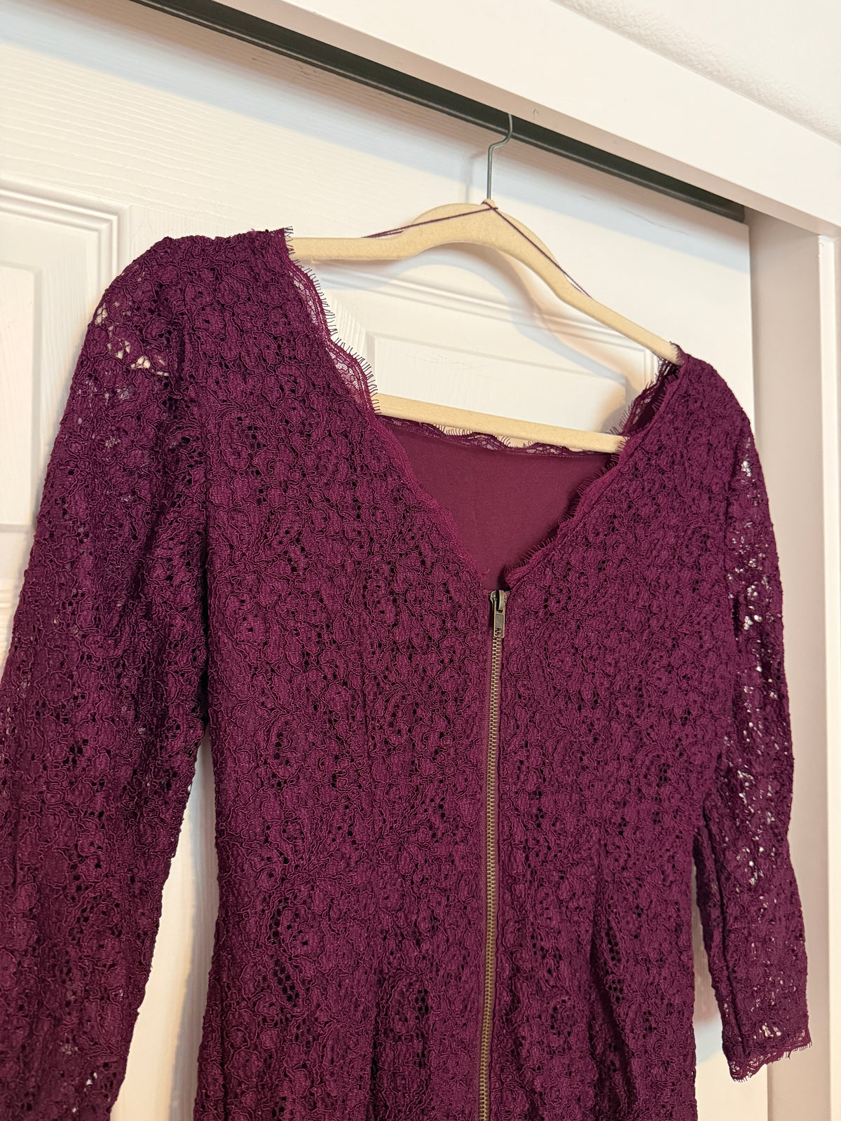 Adrianna Papell Burgundy/Purple Lace Mini Dress