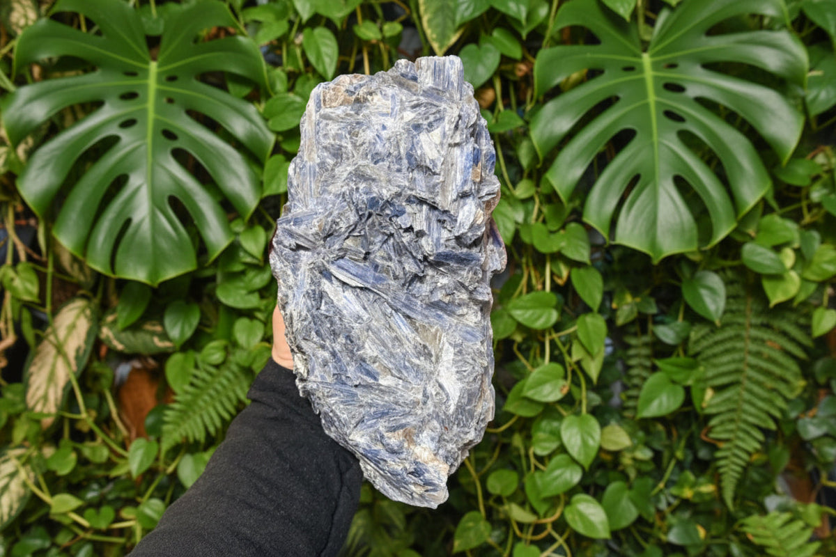 Blue Kyanite Raw Crystal on Matrix