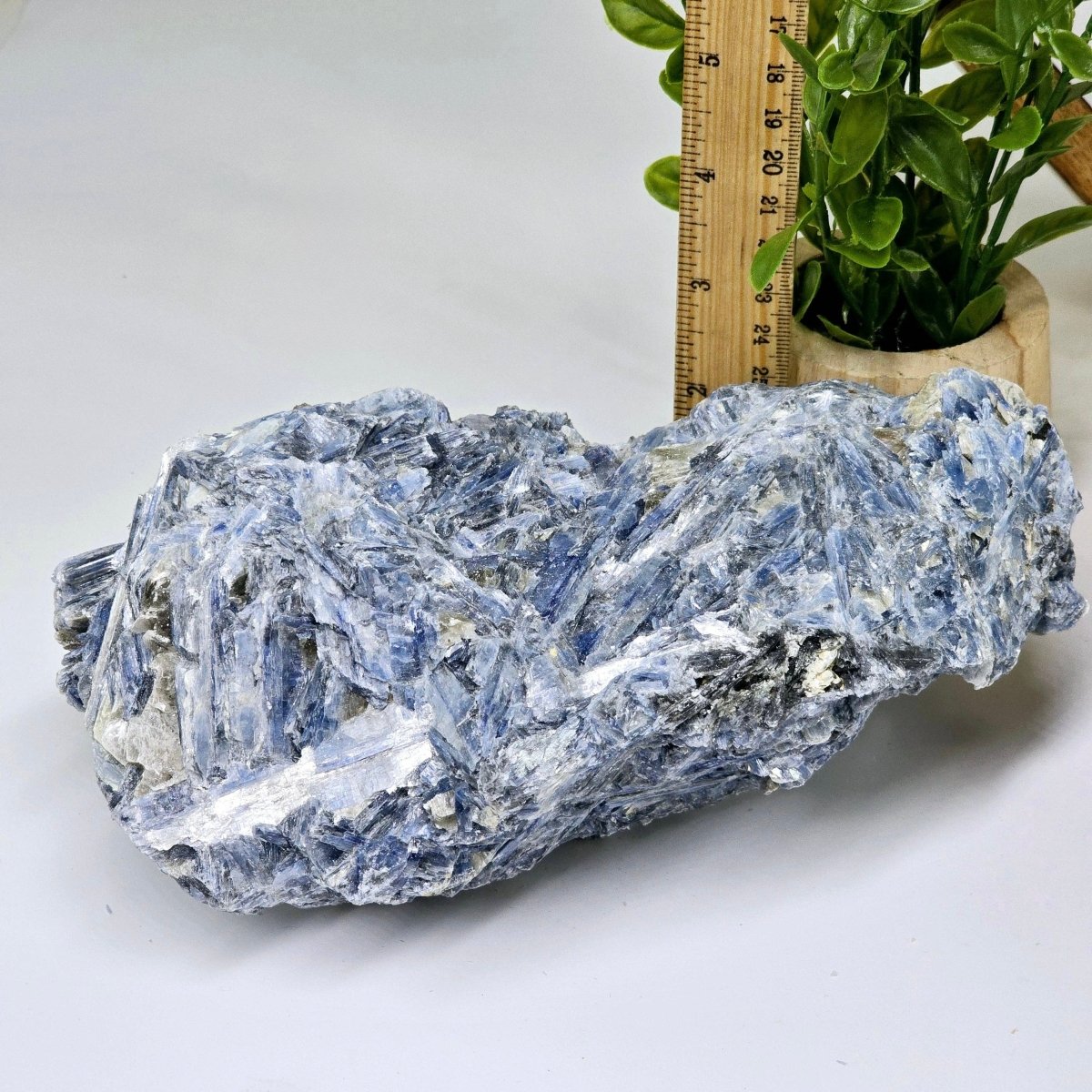 Blue Kyanite Raw Crystal on Matrix
