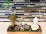 **Forest Fae Altars \| Intuitively Designed Crystal Altars