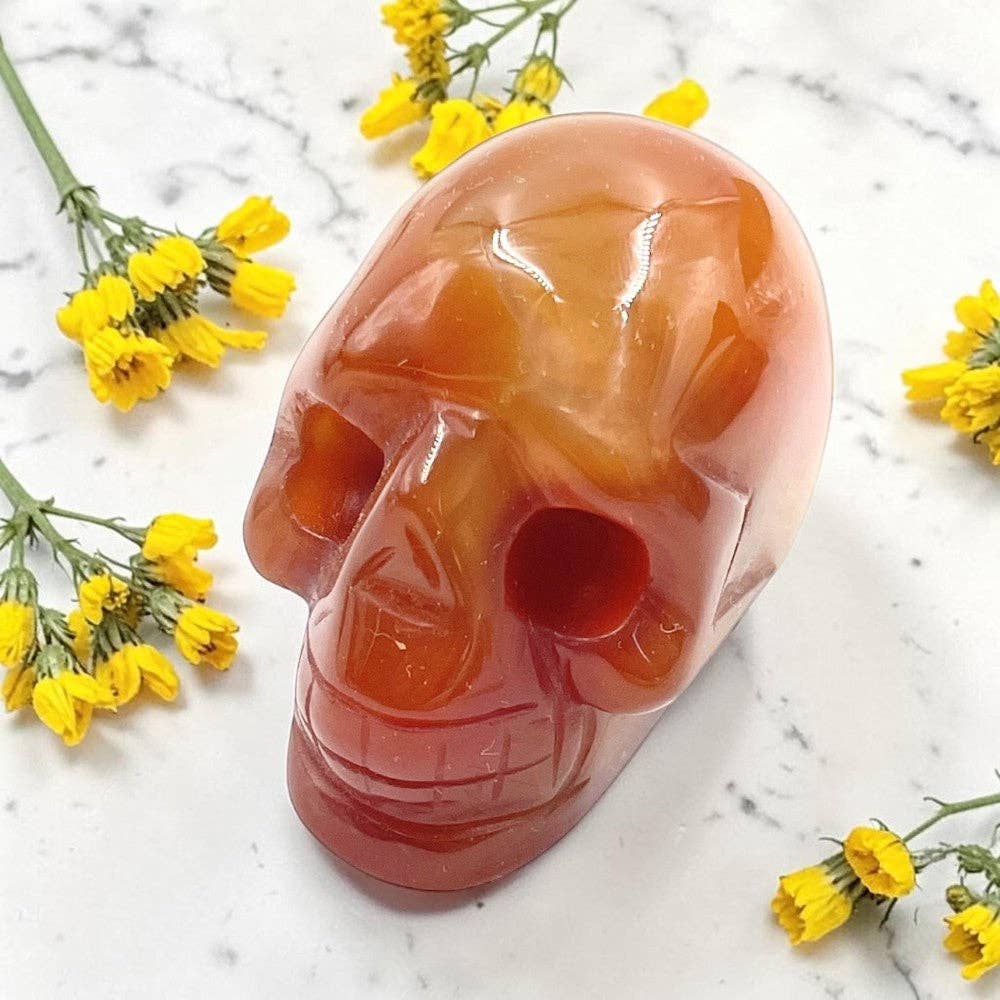 Carnelian Crystal Skull