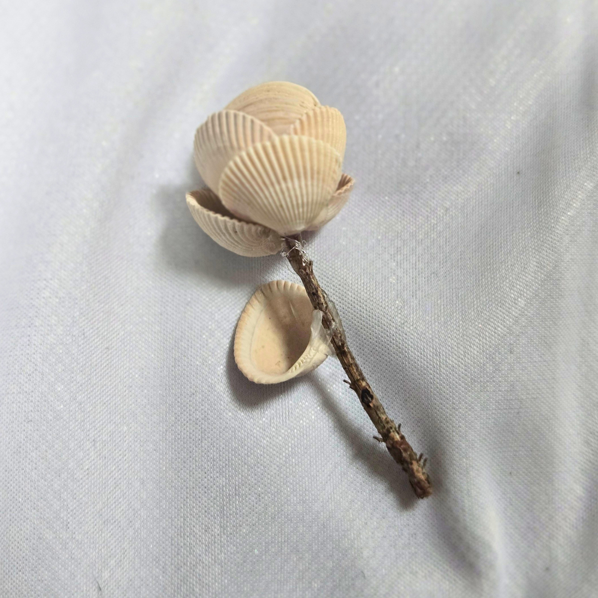 Shell Flower - Large