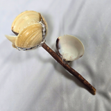Shell Flower - Medium