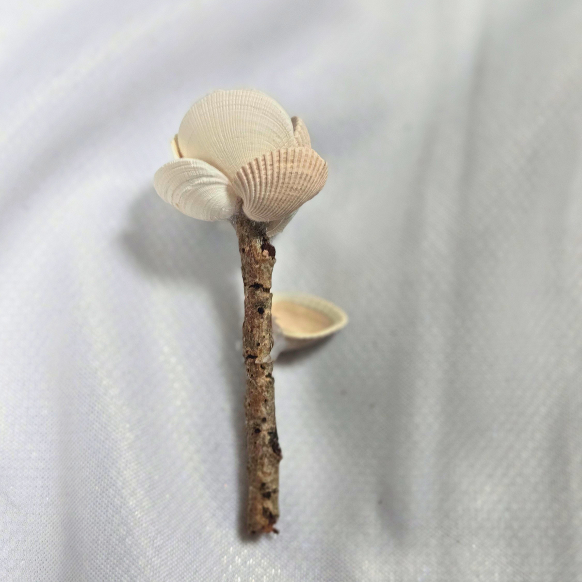 Shell Flower - Medium