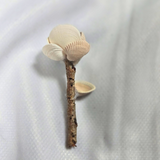 Shell Flower - Medium