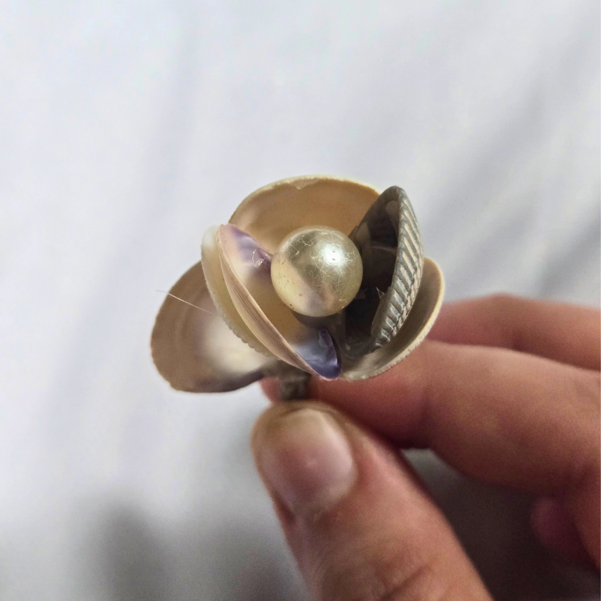 Shell Flower - Mini