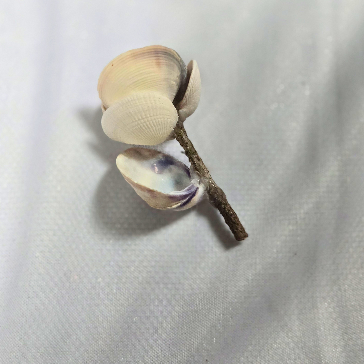 Shell Flower - Mini