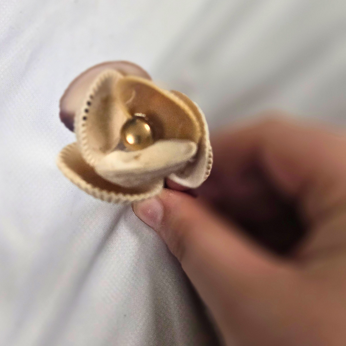Shell Flower - Small