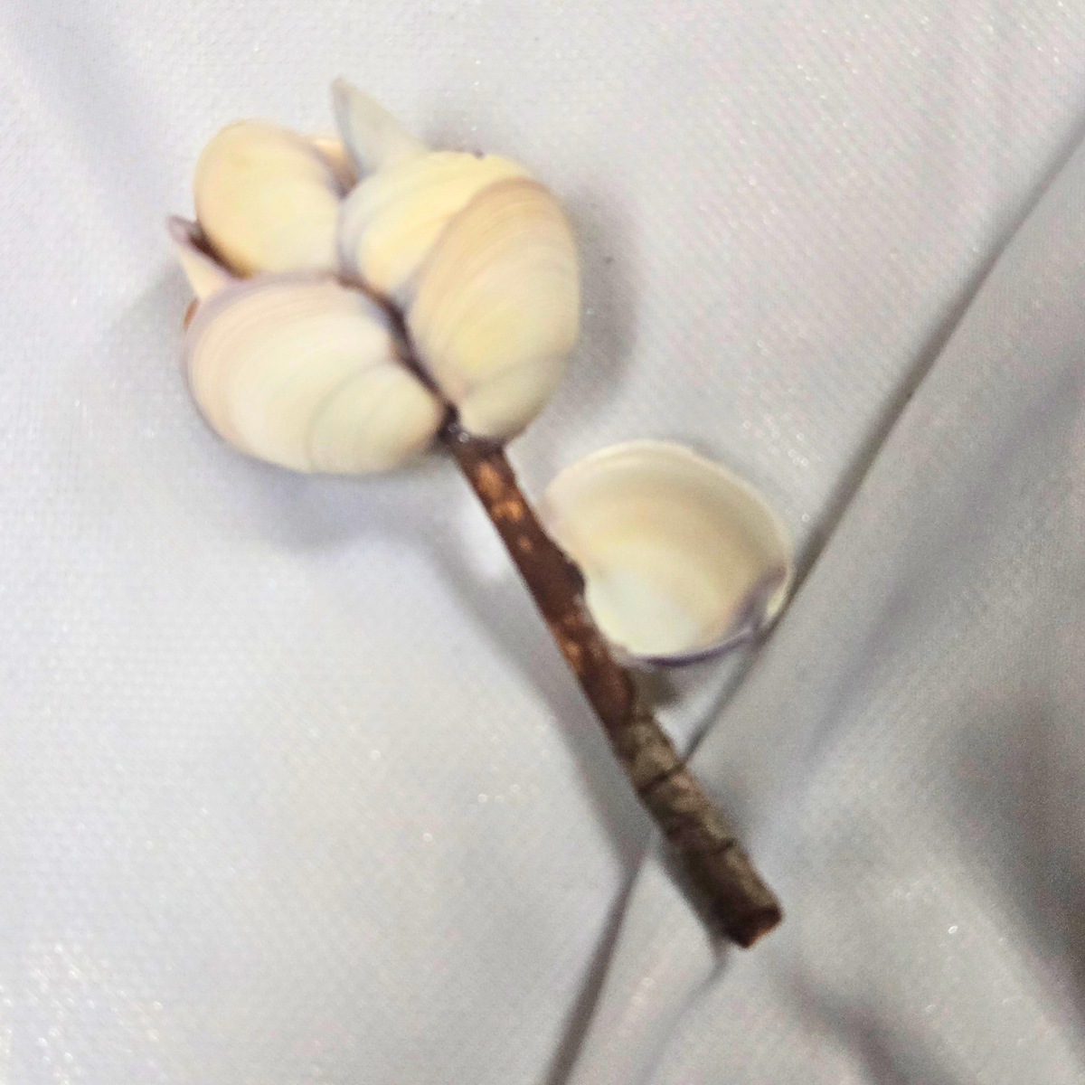 Shell Flower - Small