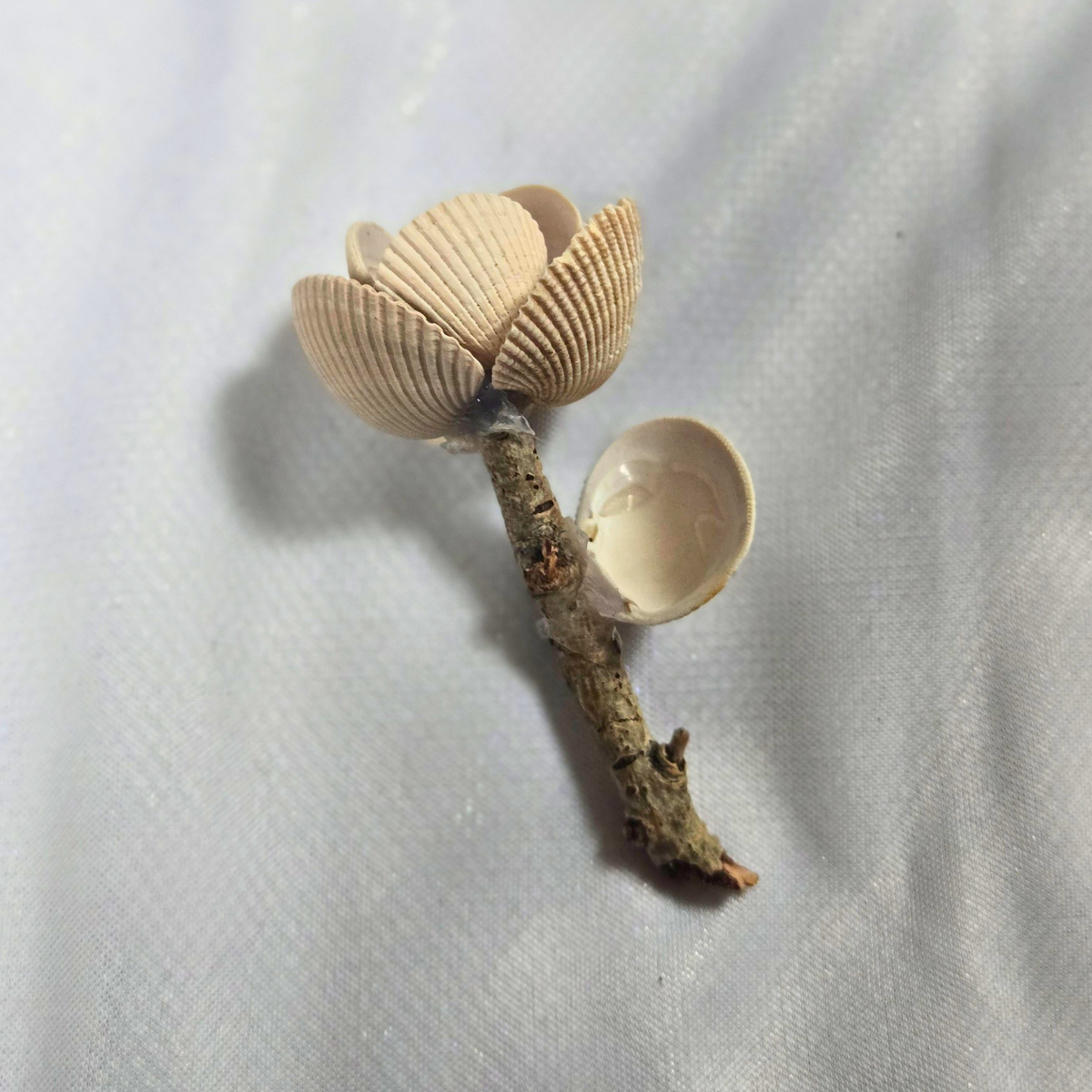 Shell Flower - Small